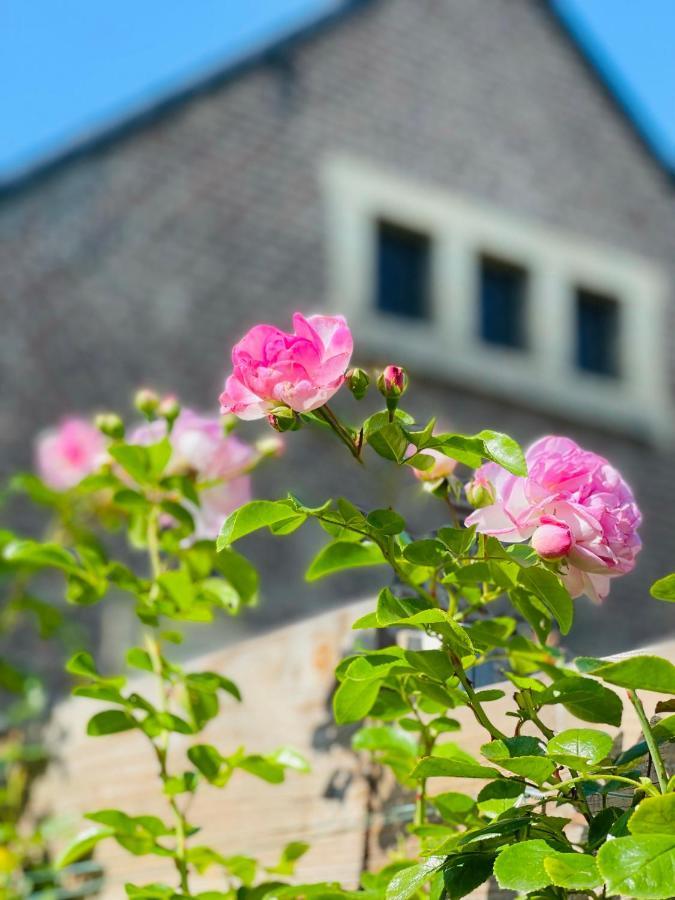 Wahlwiller A Little Peace And Quiet B&B 외부 사진